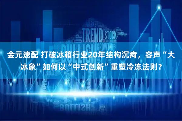 金元速配 打破冰箱行业20年结构沉疴，容声“大冰象”如何以“中式创新”重塑冷冻法则？