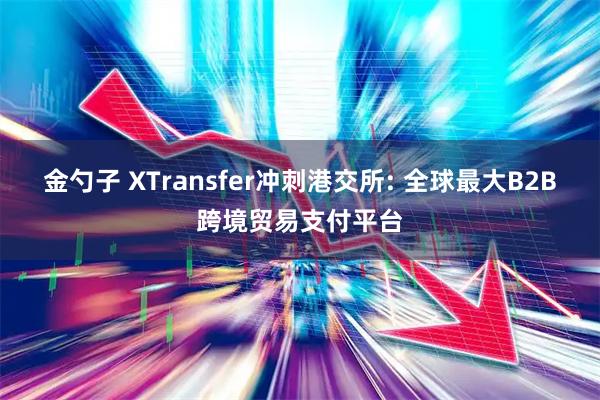金勺子 XTransfer冲刺港交所: 全球最大B2B跨境贸易支付平台