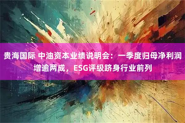 贵海国际 中油资本业绩说明会：一季度归母净利润增逾两成，ESG评级跻身行业前列