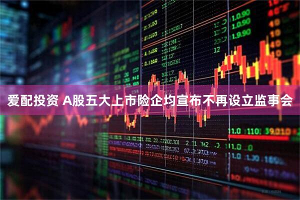 爱配投资 A股五大上市险企均宣布不再设立监事会