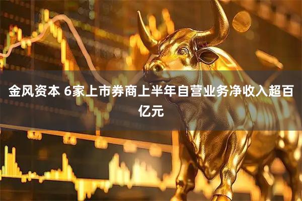 金风资本 6家上市券商上半年自营业务净收入超百亿元